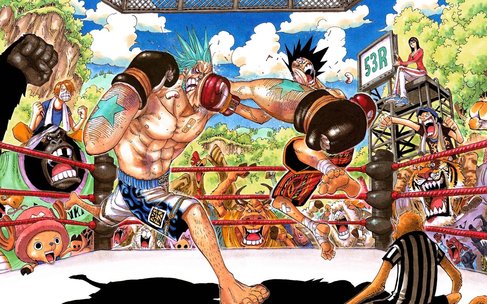 Franky One Piece 10 Free Hd Wallpapers.