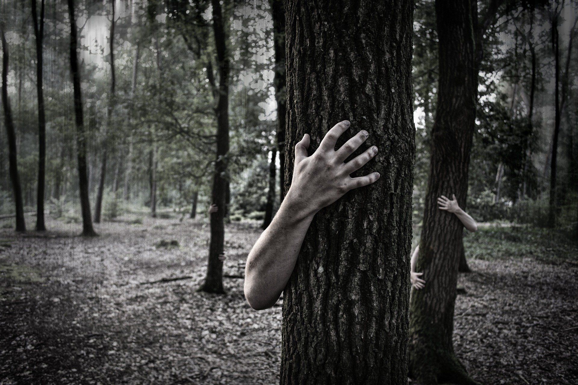 Hands Trunk Creepy Zombie Forest Horror Scary forest wallpaperx1280