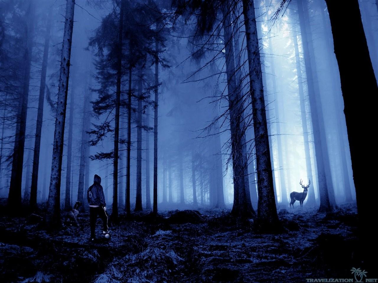 Scary Forest Background Wallpaper for Android