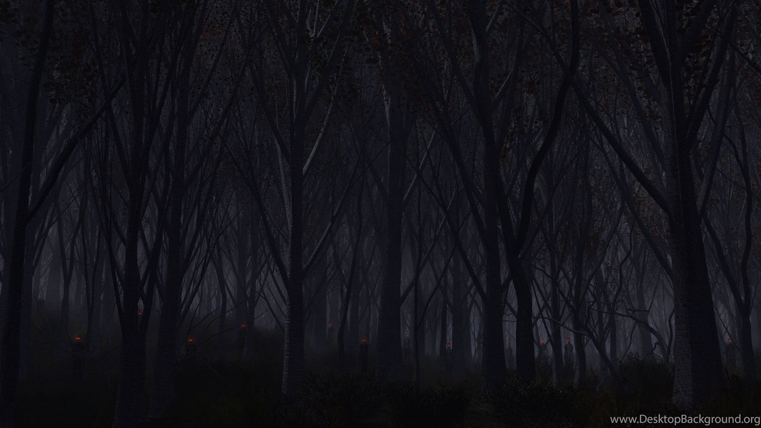 haunted forest wallpaper