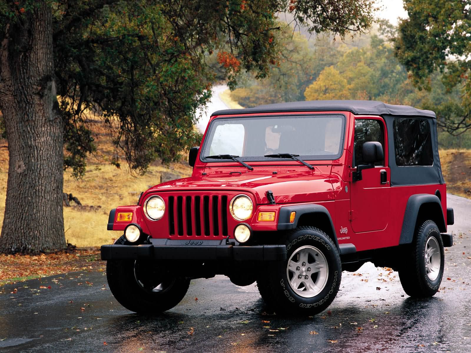 Jeep Wrangler picture. Jeep photo gallery