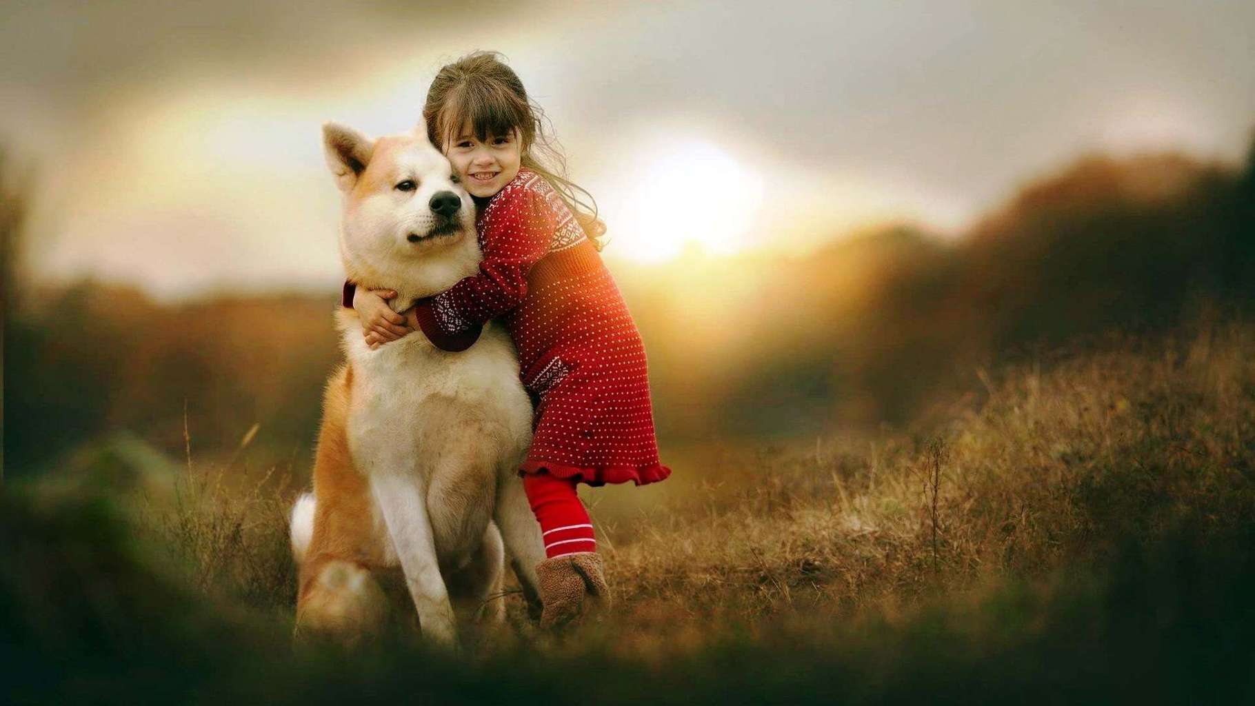 Dog Lover Wallpapers Wallpaper Cave
