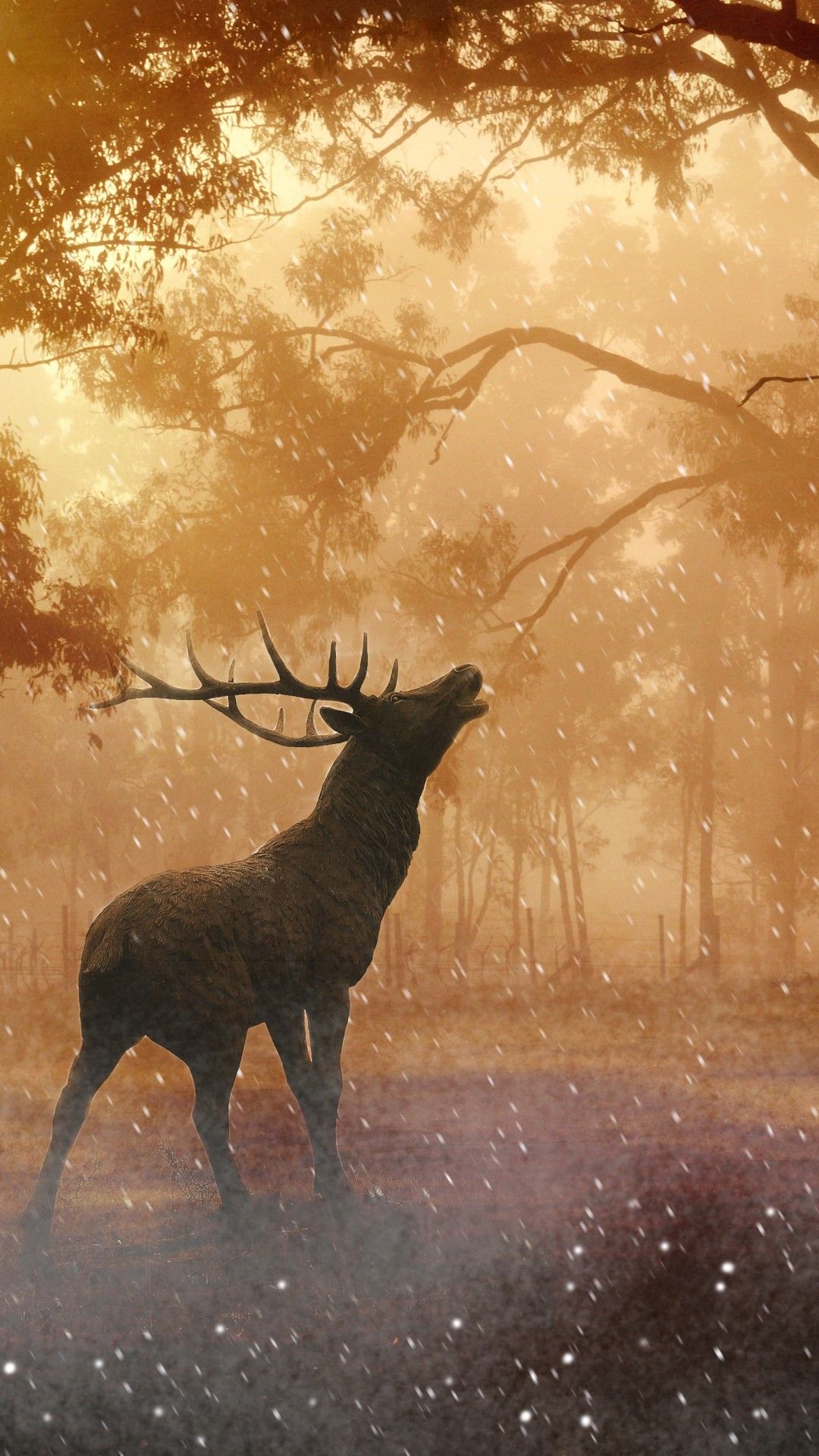 Beautiful Fallow Deer in Forest Autumn Wallpaper iPhone 6 / 6S