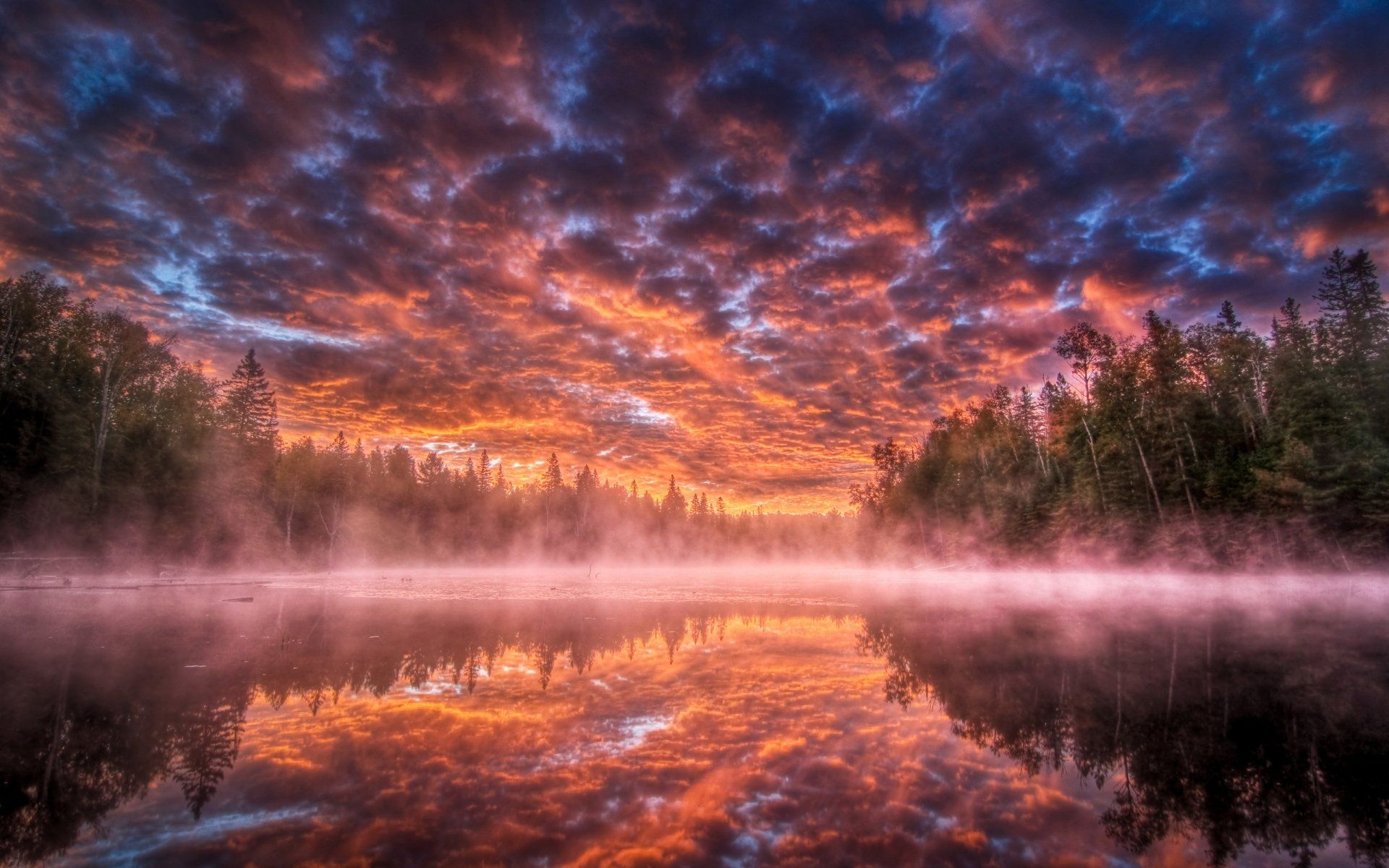 Sky Lake Fog Steam Ominous Darkness Reflection Trees HD wallpaper