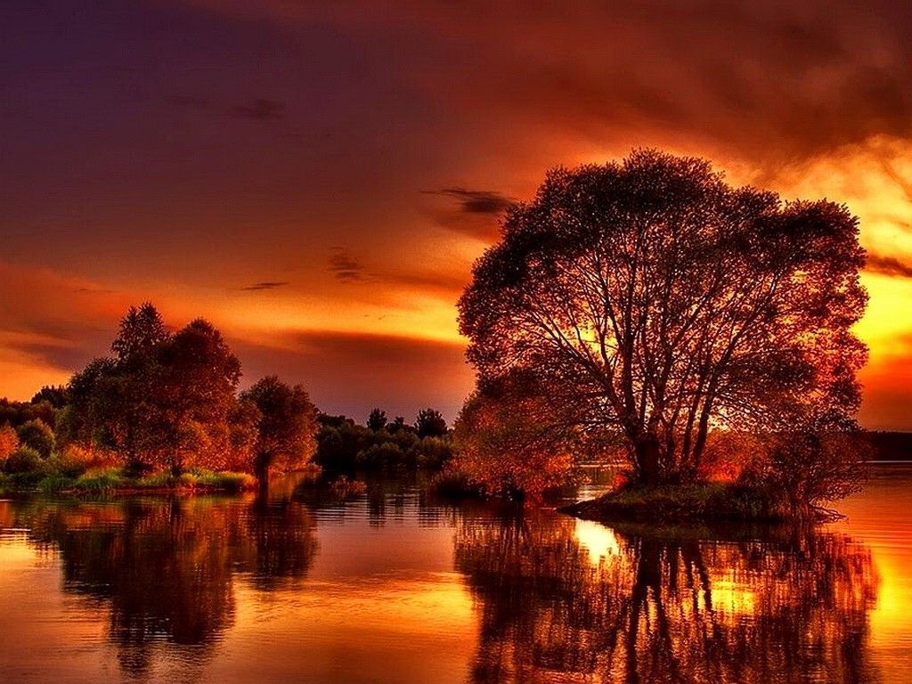 Copper Eve Reflection Lake Sky Trees Large Wallpaper Picture HD