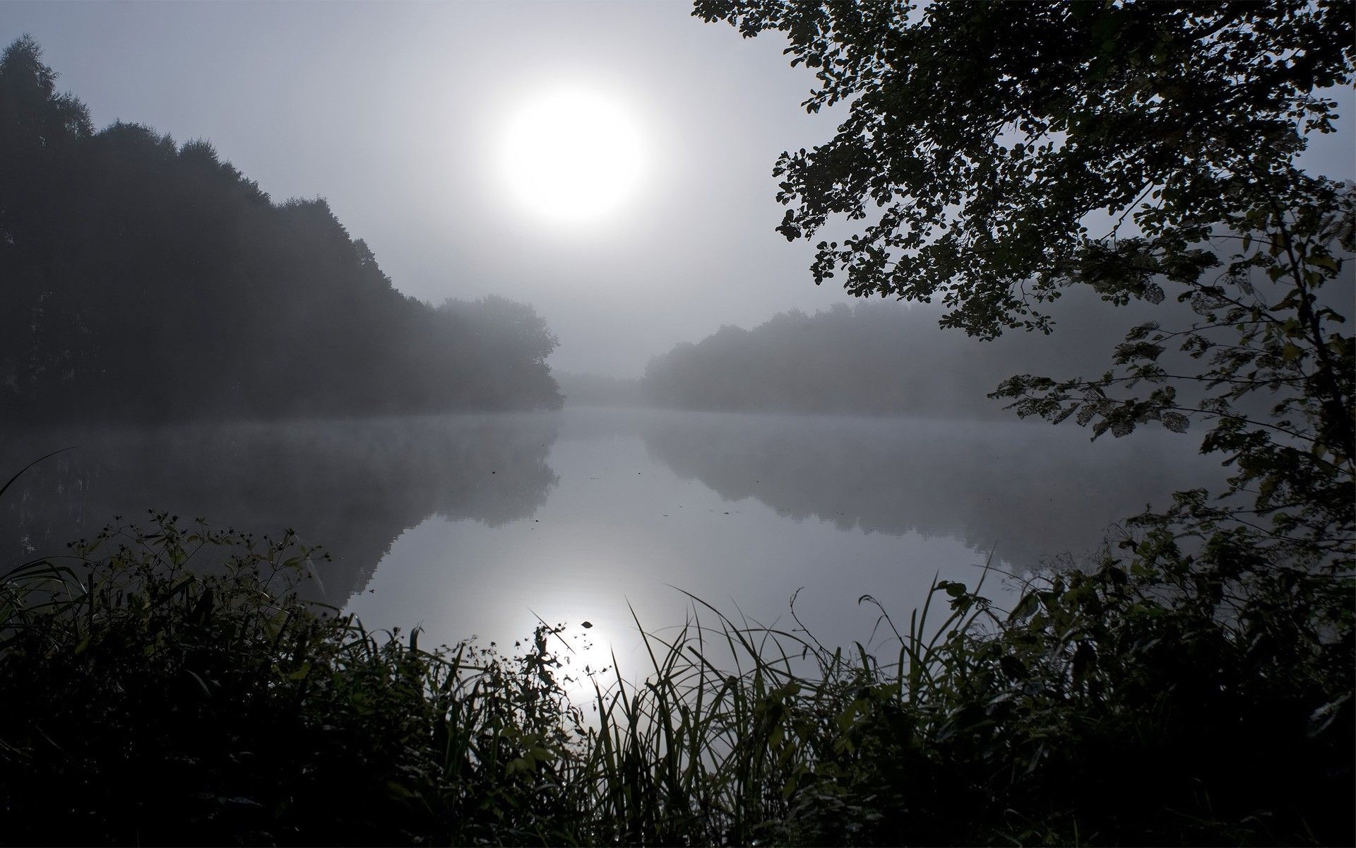 River, Tree, Light Month, Beautiful, Reflection, Sky, grass, Rivers