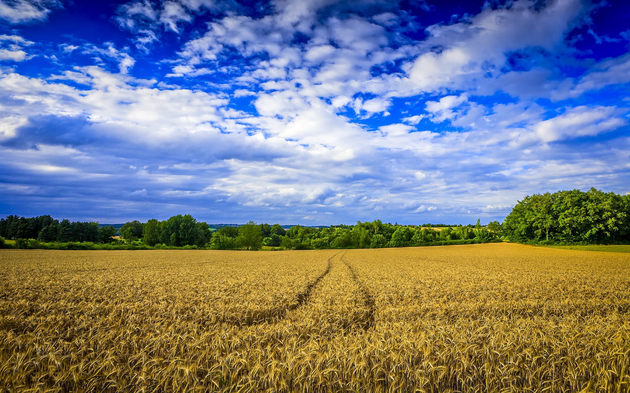 MX51 Farm Adorable Desktop Wallpaper for Free+