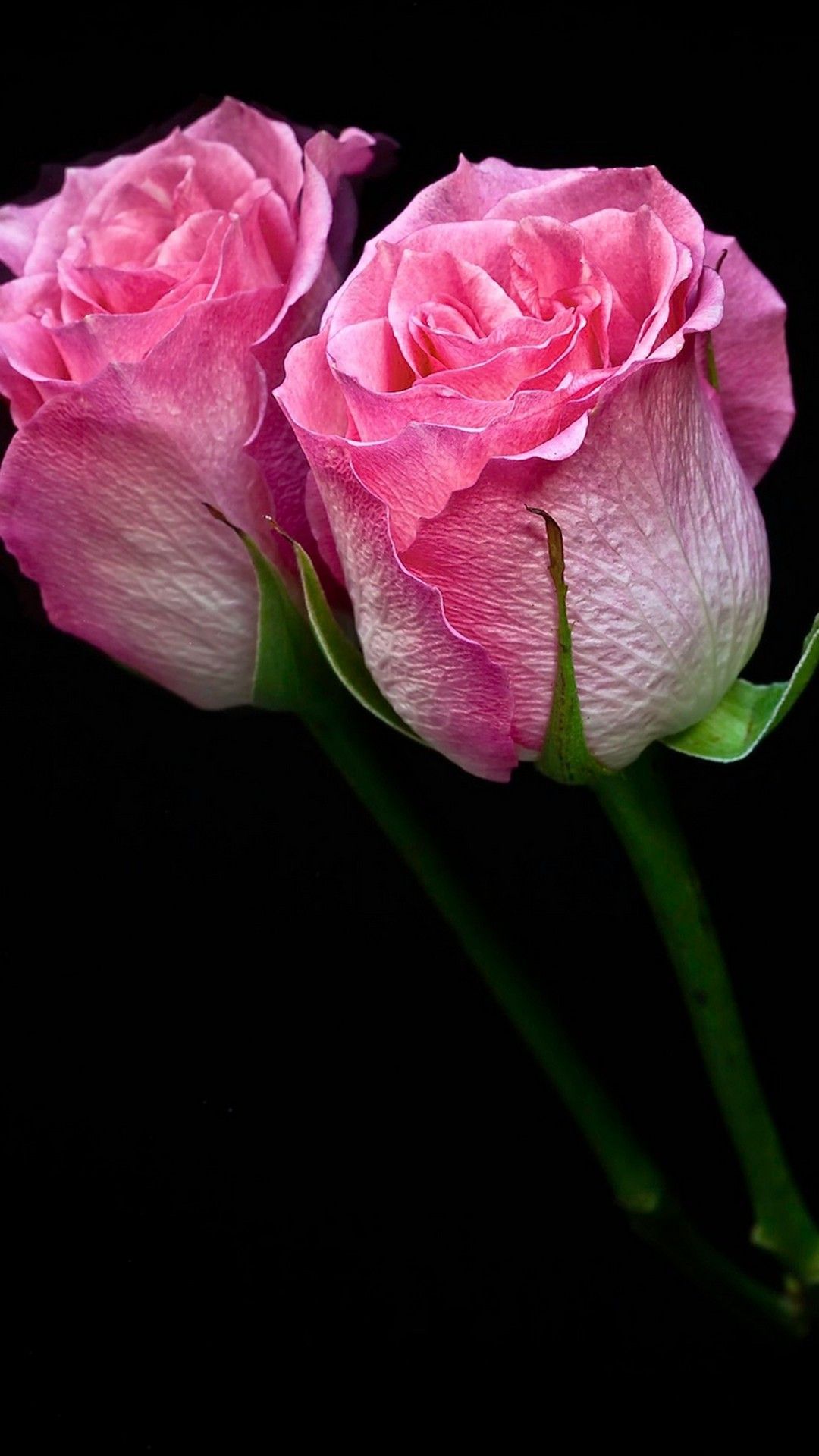 Pink Flower Mobile Wallpapers Wallpaper Cave