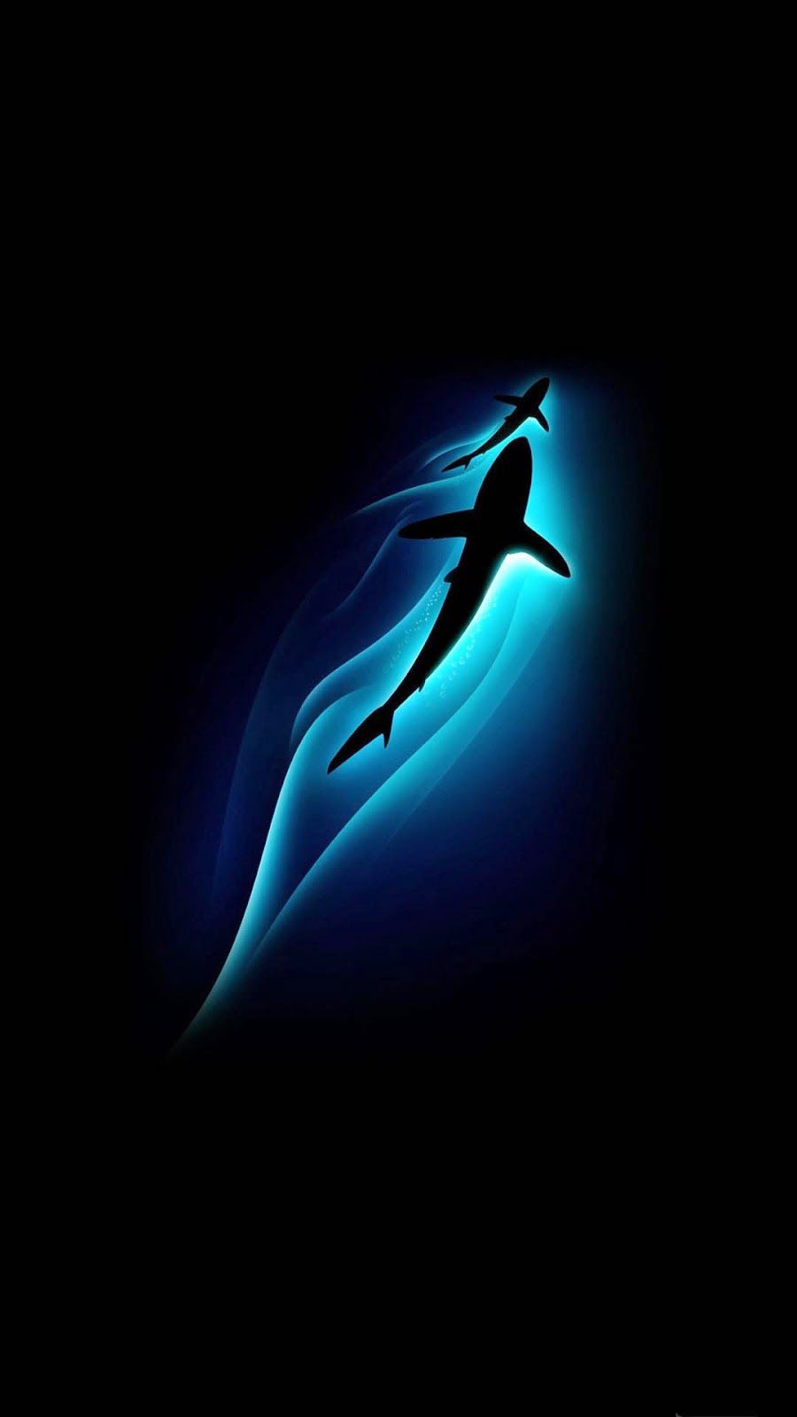 MPR1616: Cool Shark Background In High Quality, BsnSCB Gallery