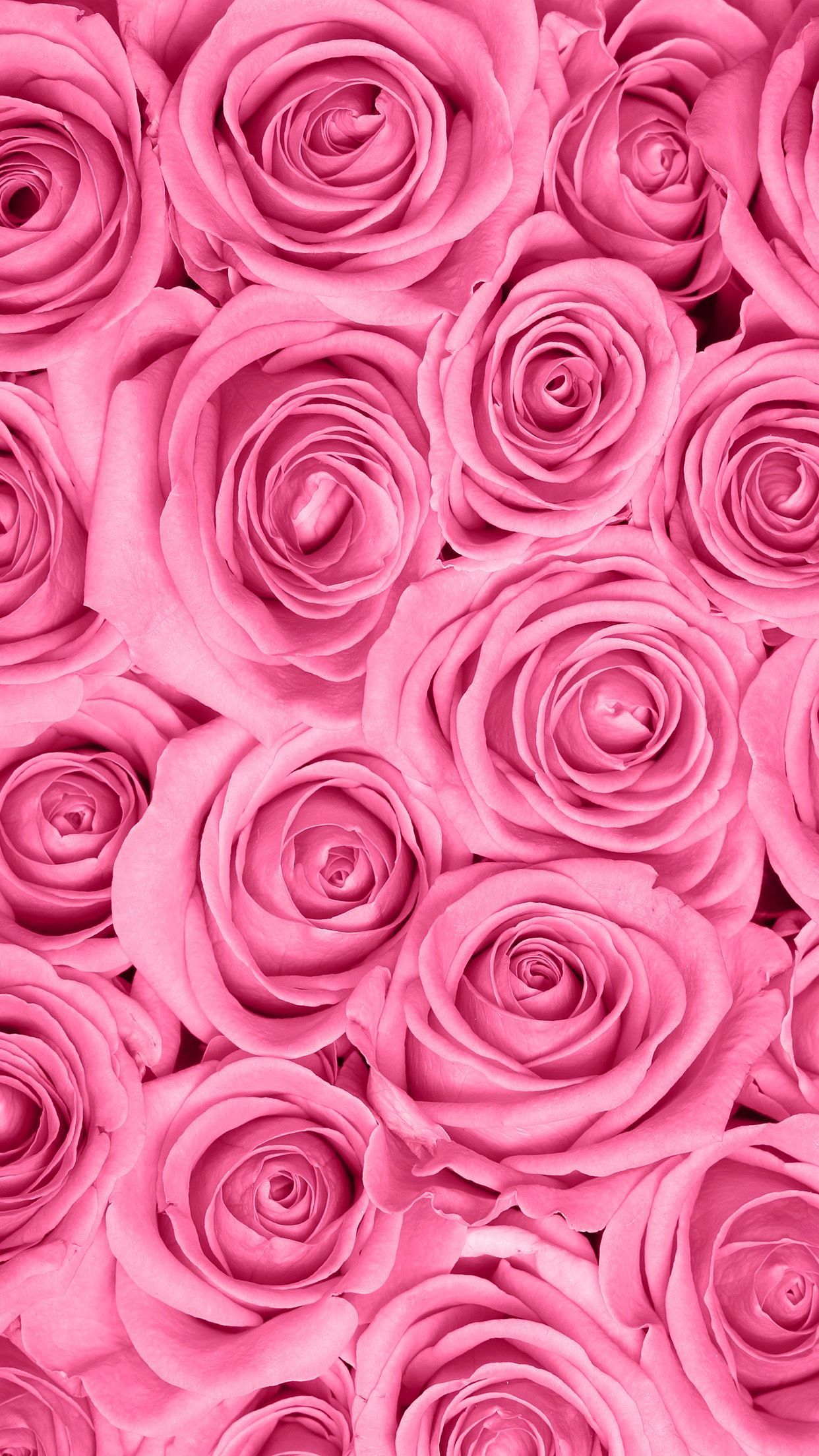 Pink. Flower iphone wallpaper, Flower