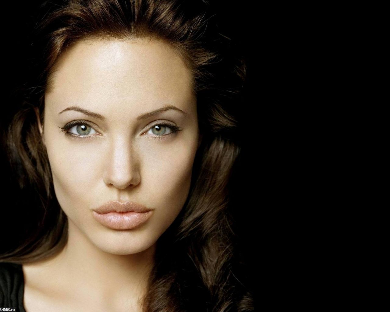 Free download Amazing Set of Beautiful Women Faces HD Wallpaper