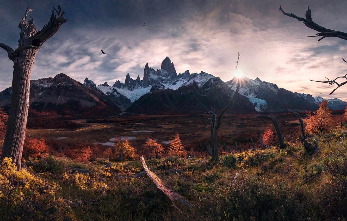 Wallpaper autumn, the sun, light, birds, South America, Patagonia, the Andes mountains image for desktop, section пейзажи