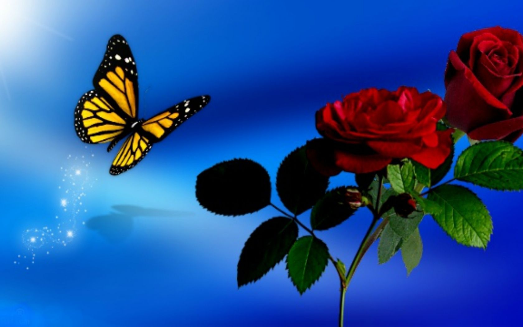 Free download 70 Red Butterfly Wallpaper