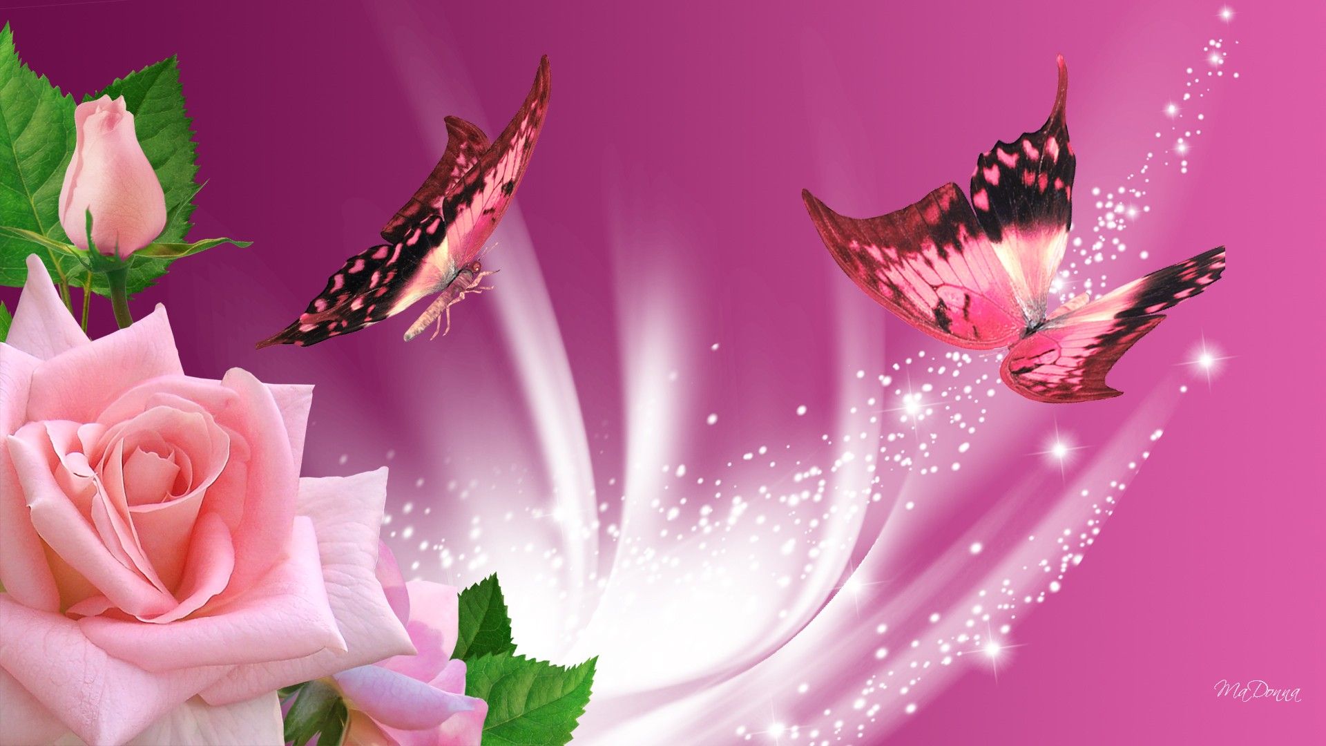 Butterflies and Roses Wallpaper