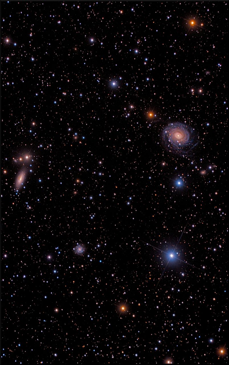 NGC 6902 In LRGB Wallpaper 4K Mobile Phone Wallpaper 2400x3840