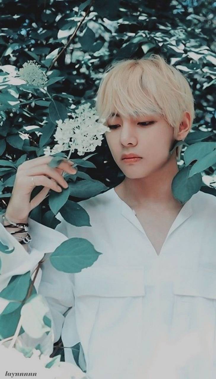 V Bts Wallpaper