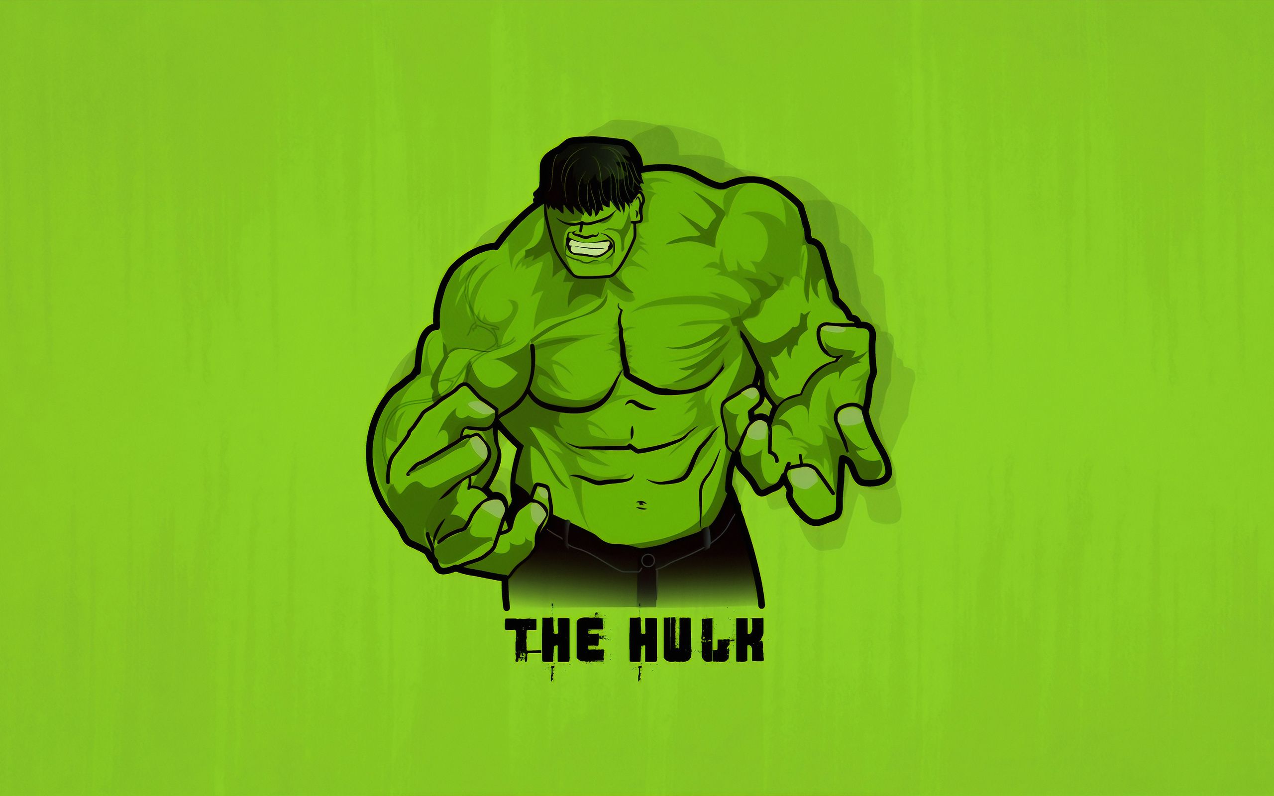 Hulk Smash Minimal 2560x1600 Resolution HD 4k Wallpaper