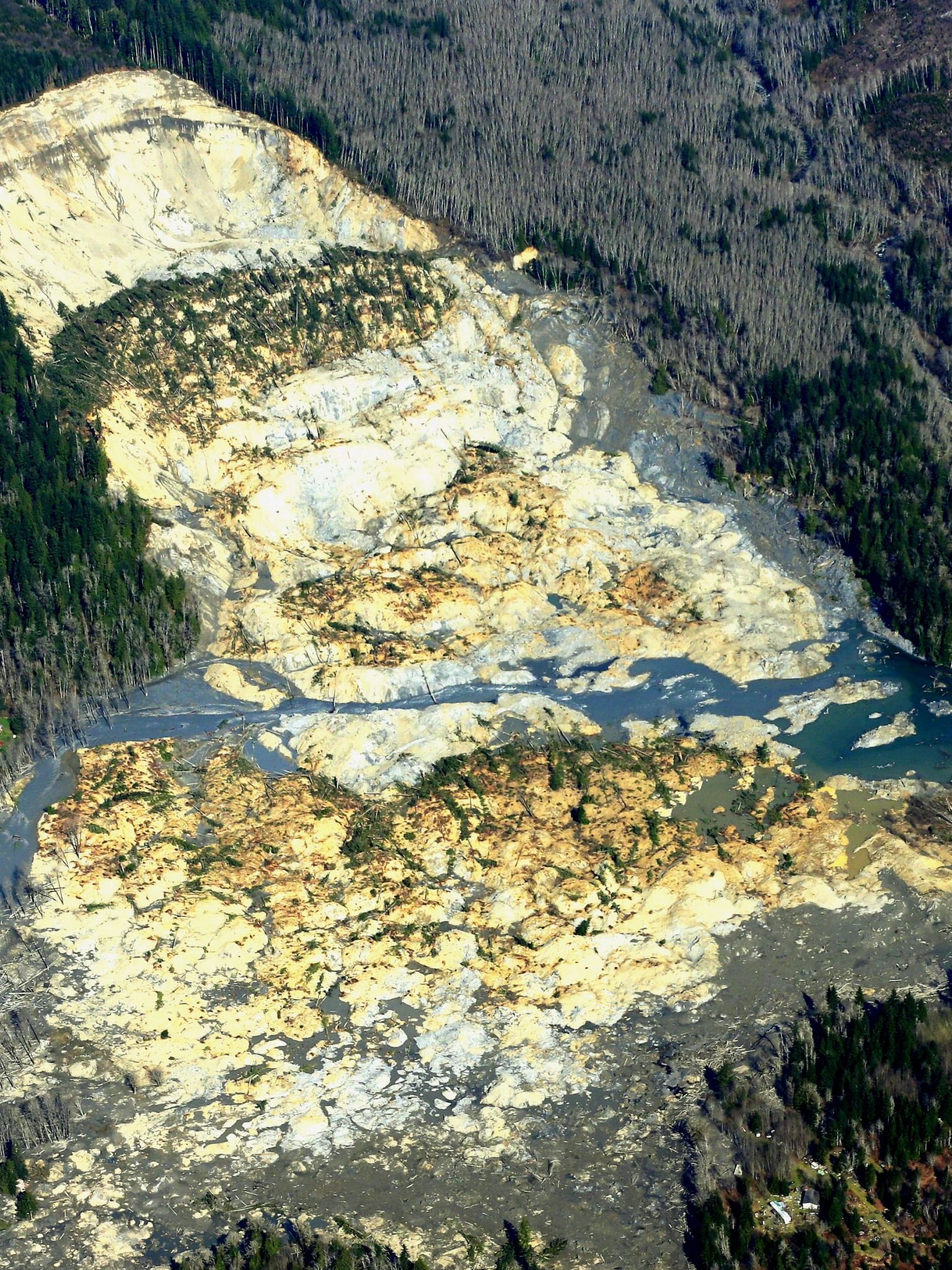 Free download Snohomish Mudslide landslide nature natural disaster