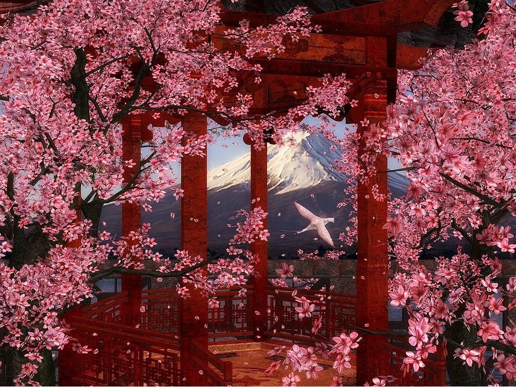 Cherry Blossom Wallpaper Night. image of ezeewalls beautiful