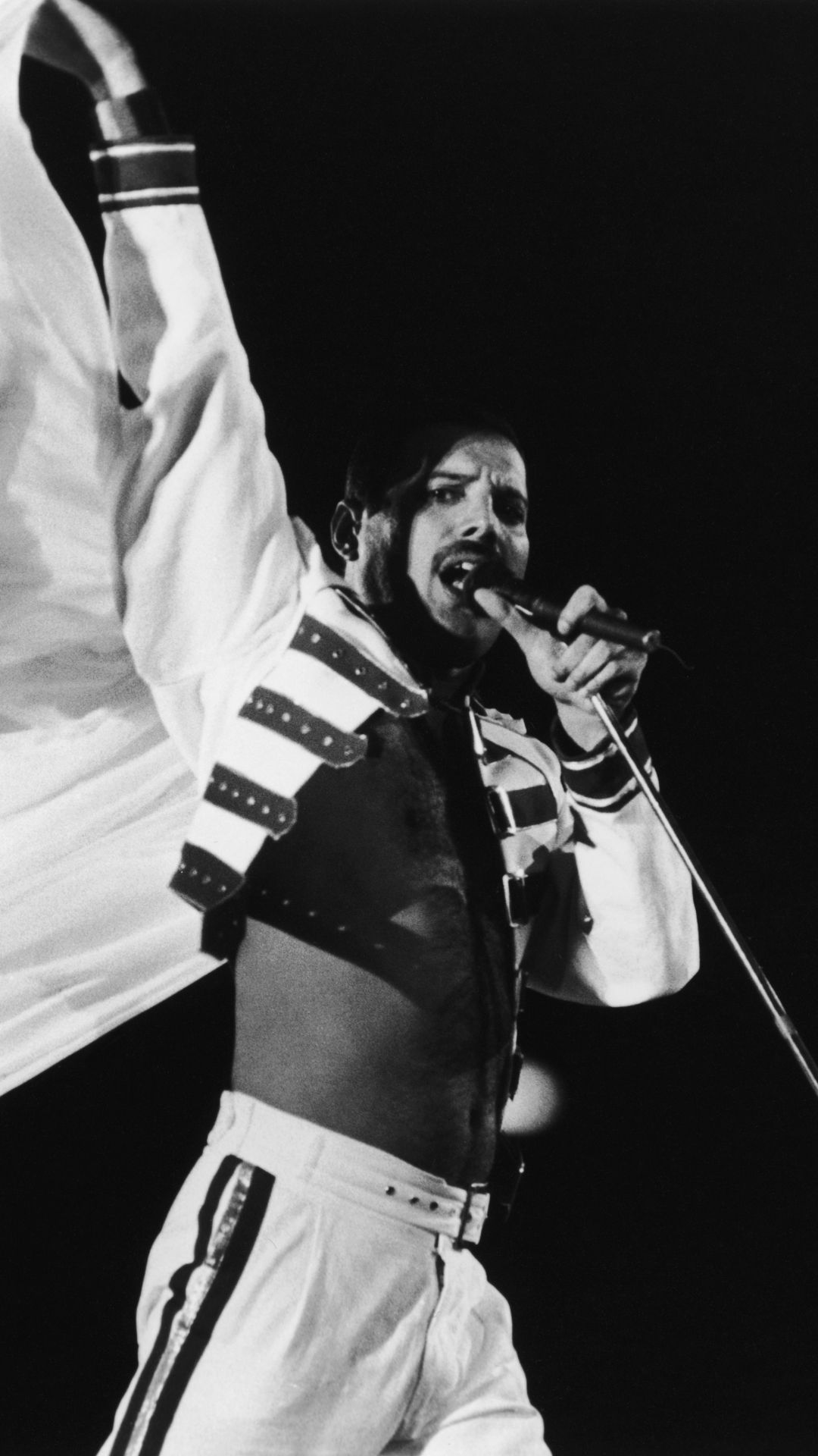 Music Freddie Mercury (1080x1920) Wallpaper