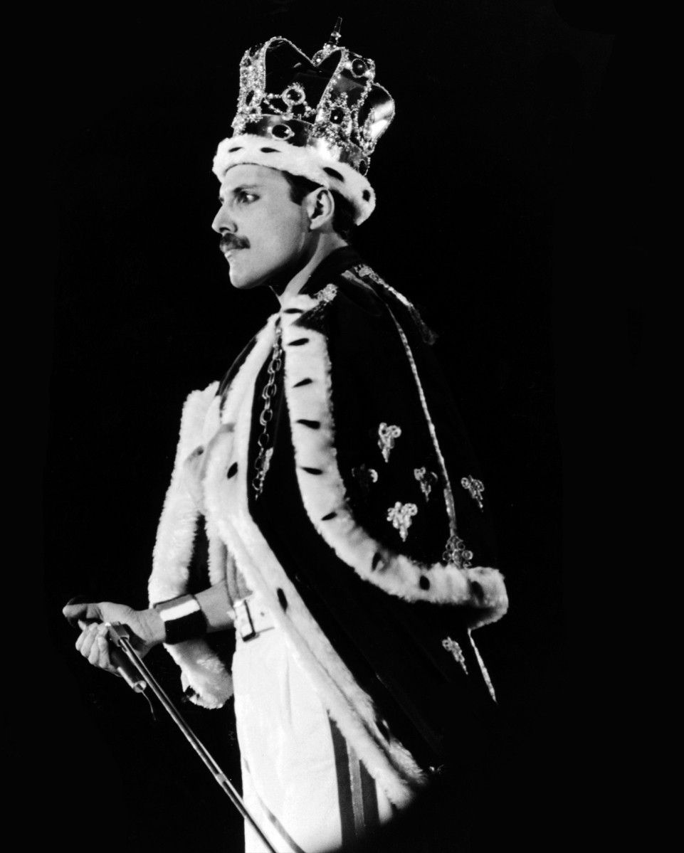 Freddie Mercury wallpaper