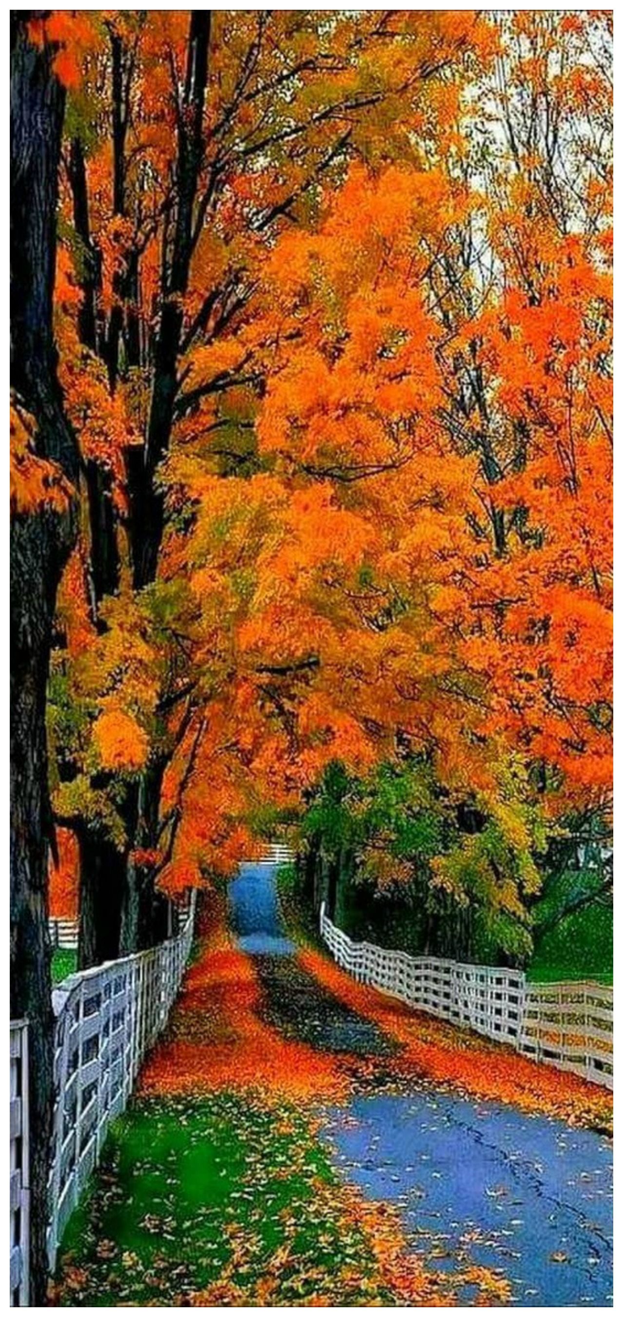 Beautiful Autumn Wallpaper. Autumn scenery, Beautiful photo