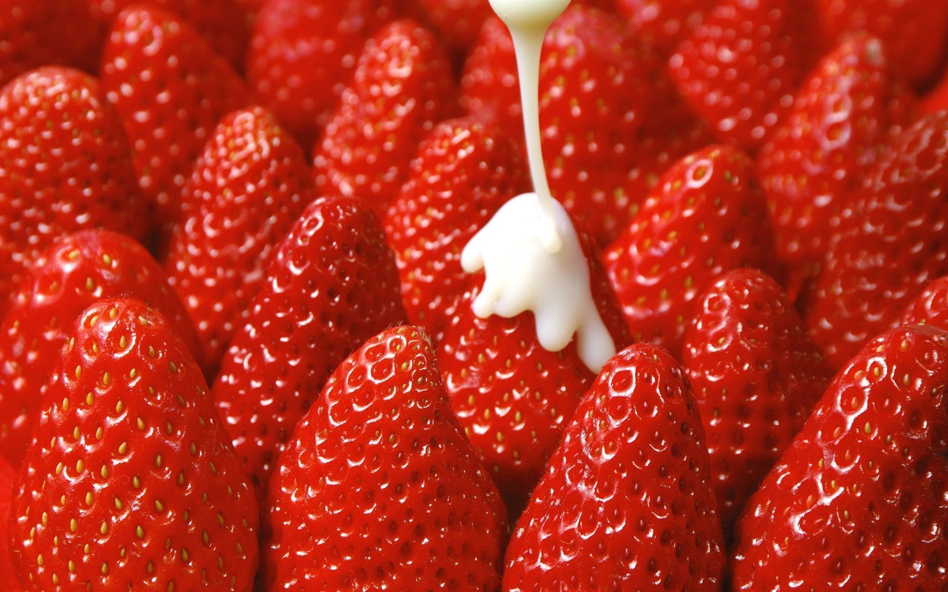 Fresh strawberries wallpaper Wallpaper Wallpaper 86118