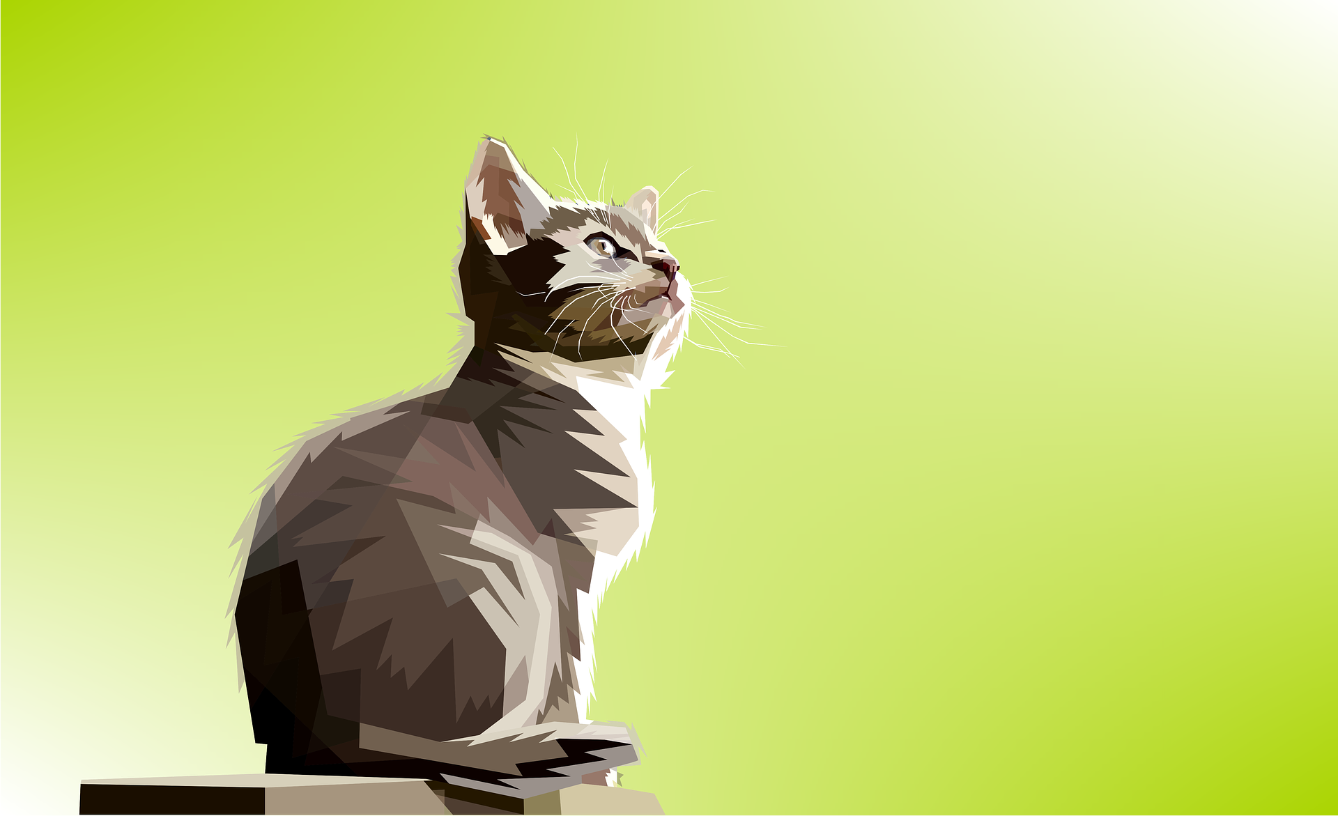 Artistic Cat Pop Art HD Wallpaper