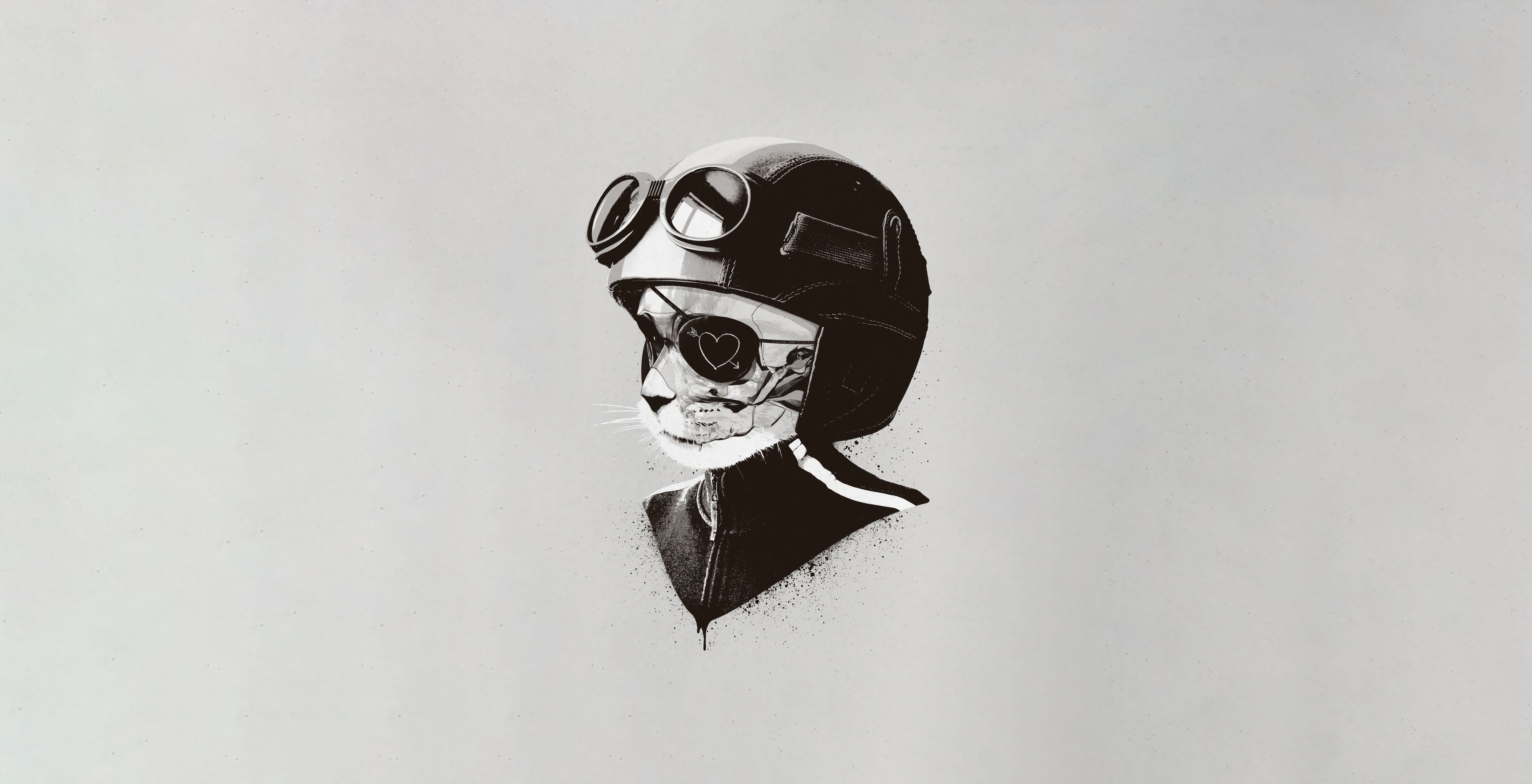 Cat Helmet Minimal Art 5k, HD Artist, 4k Wallpaper, Image, Background, Photo and Picture