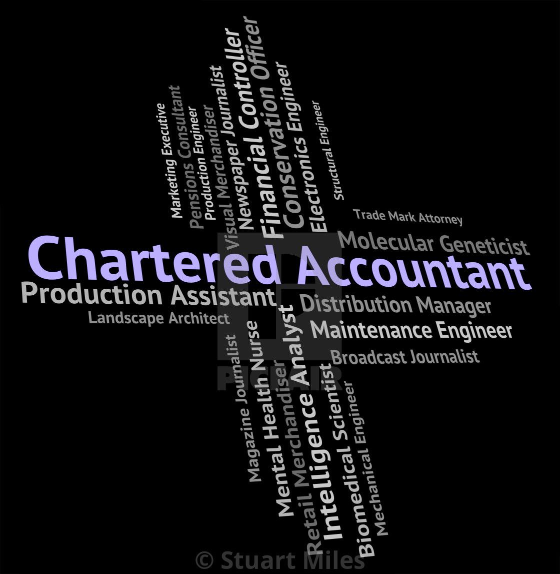 Chartered Accountant Shows Balancing The Books And Audit