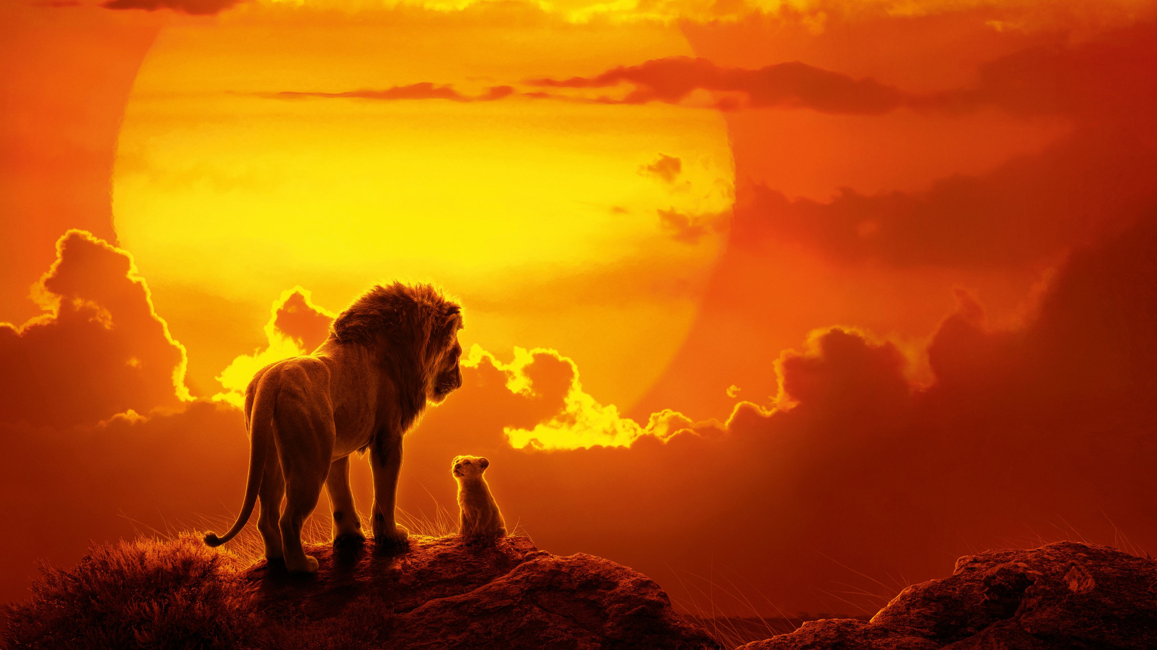 Wallpaper 4k The Lion King Movie 2019 Movies Wallpaper, 4k Wallpaper, 5k Wallpaper, 8k Wallpaper, Disney Wallpaper, Hd Wallpaper, Lion Wallpaper, Movies Wallpaper, Simba Wallpaper, The Lion King Wallpaper