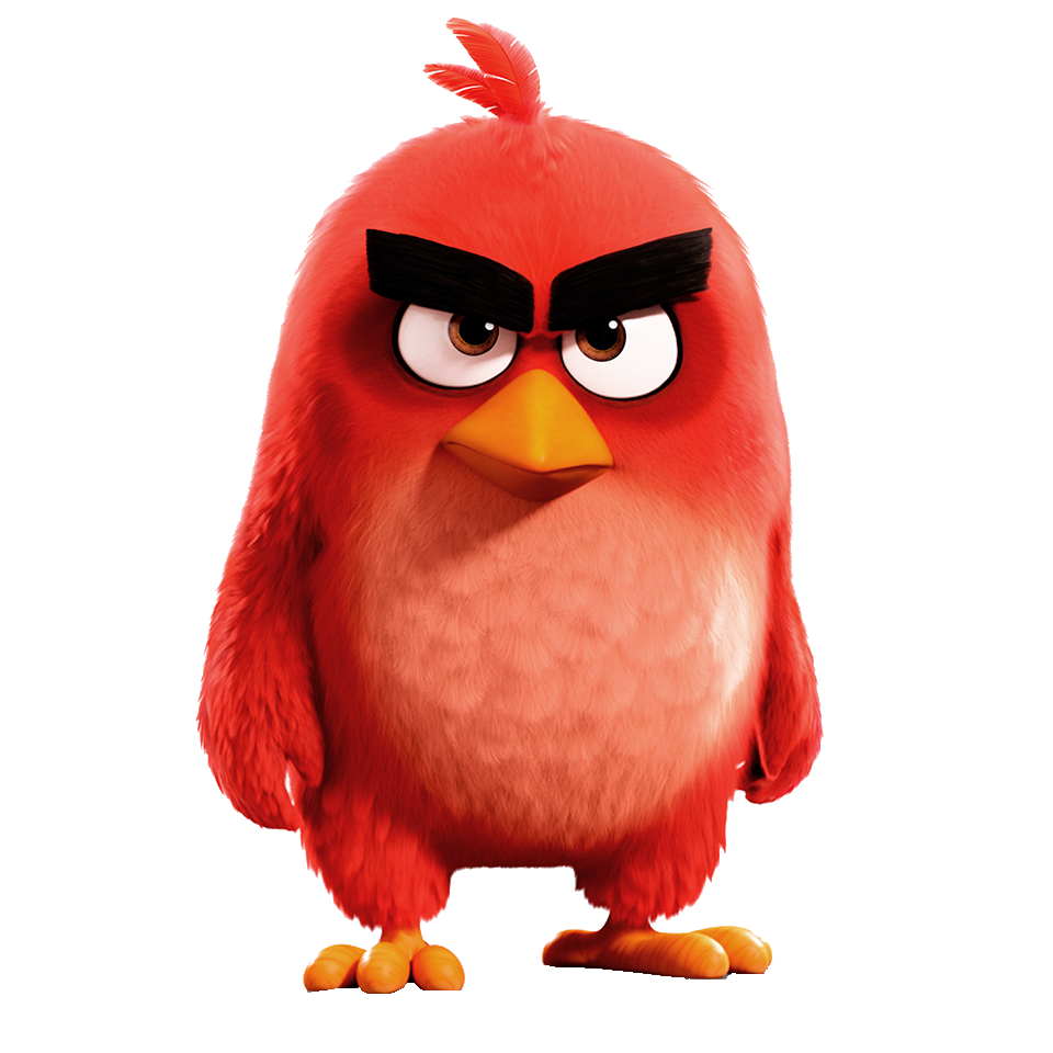 Free download The Angry Birds Movie image Red HD wallpaper