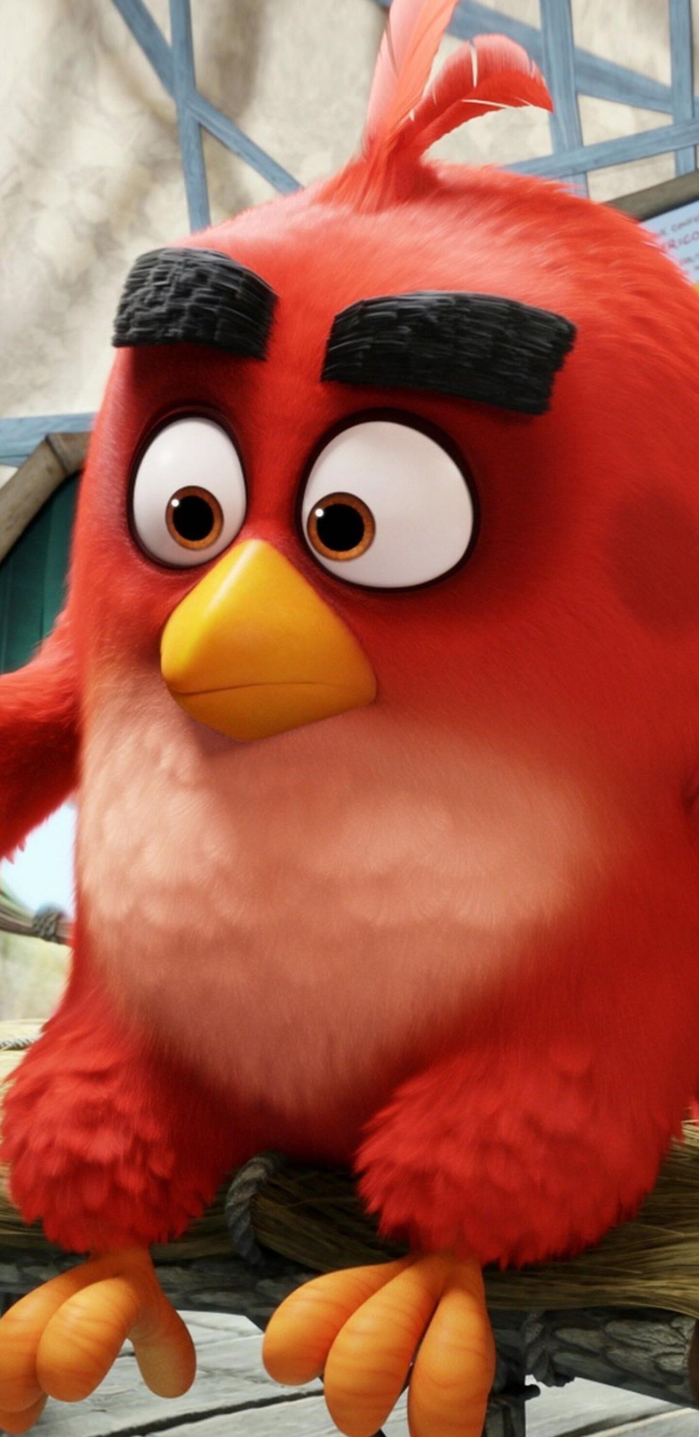 Red The Angry Birds Samsung Galaxy Note S S S
