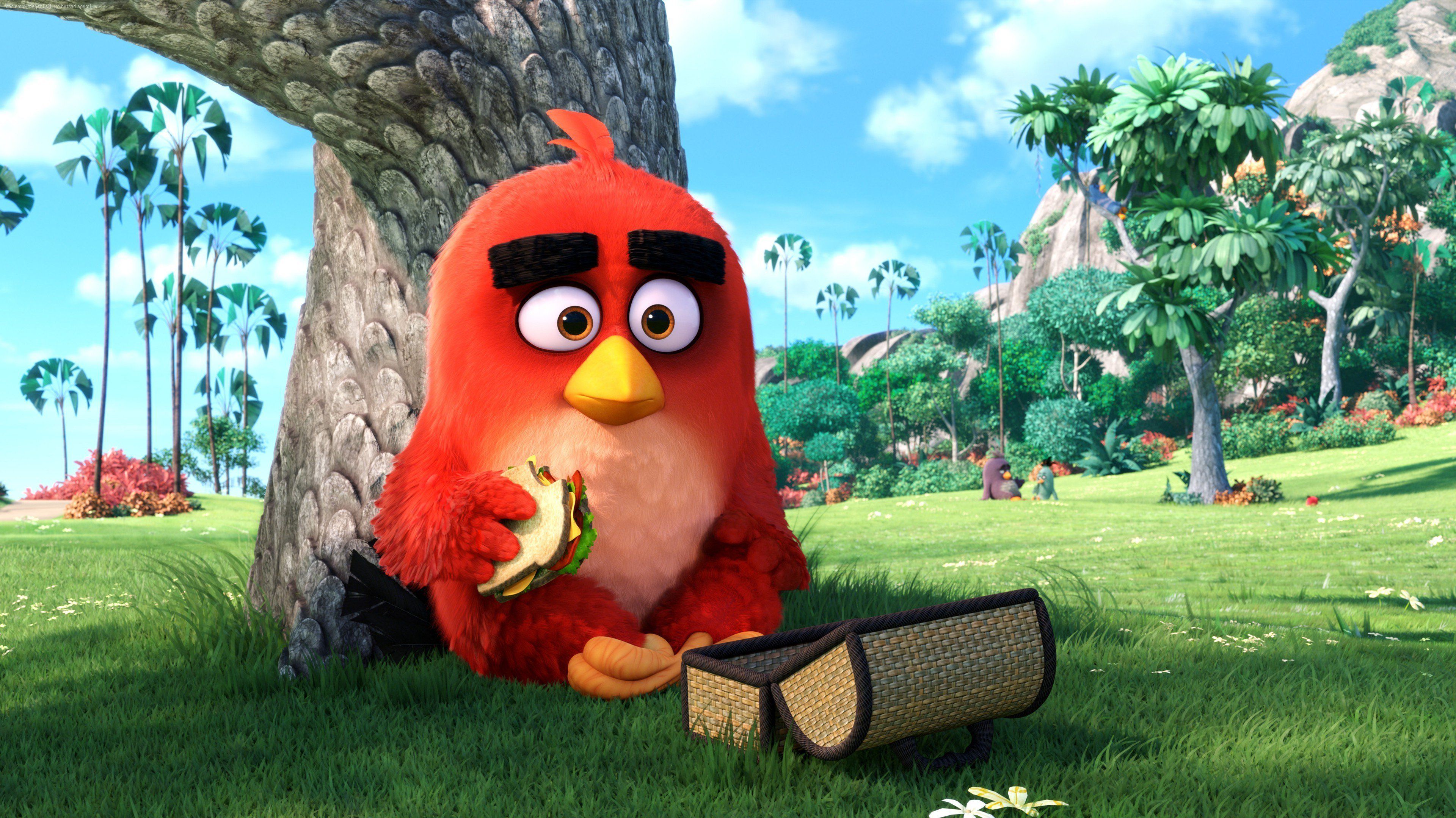 Angry Birds Main Character Macbook Pro Retina HD 4k