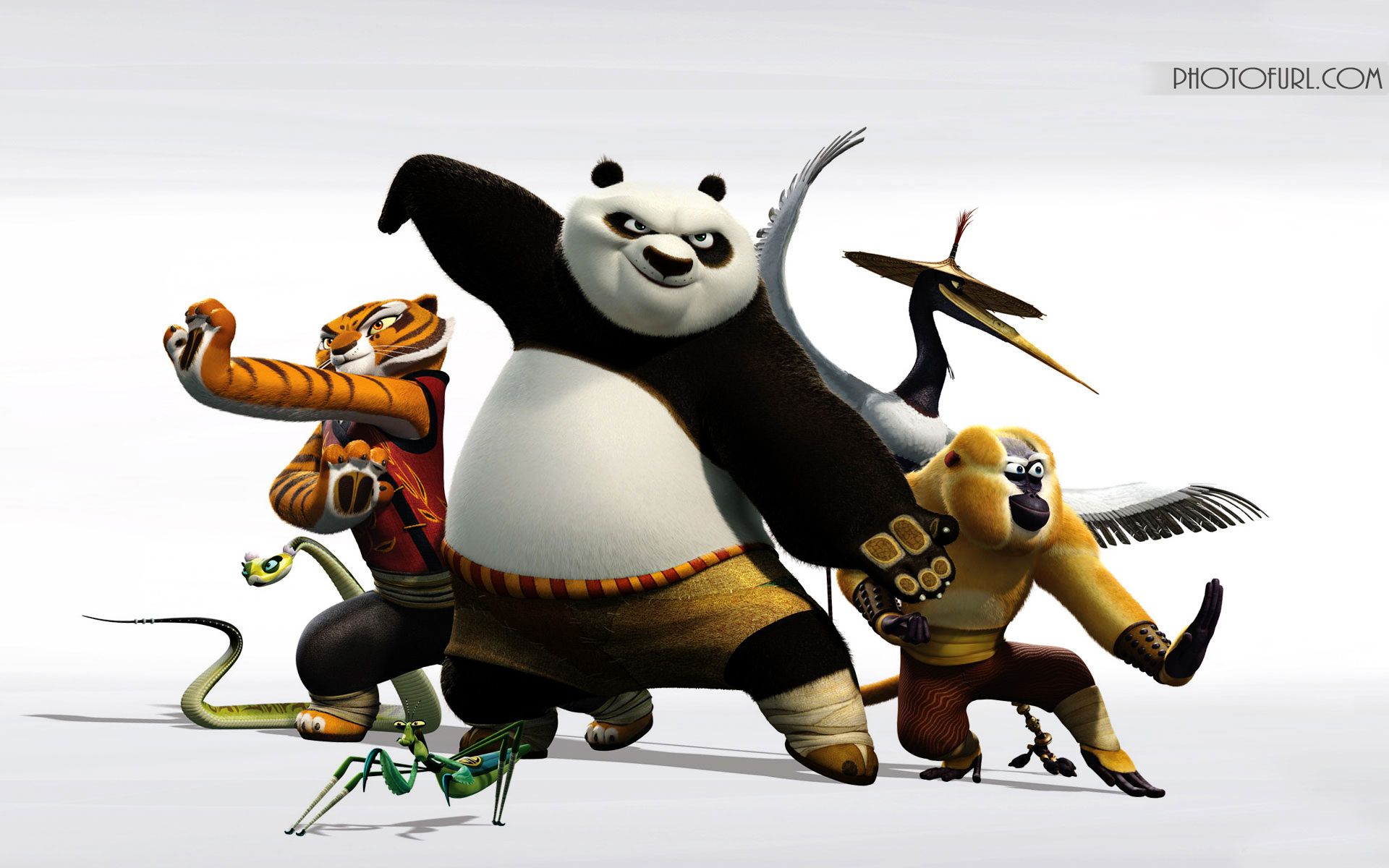 Кунг фу панда 4 кинотеатр краснодар. Кунг фу Панда. Кунг фу Панда 1. Кунг-фу Панда неистовая пятёрка.