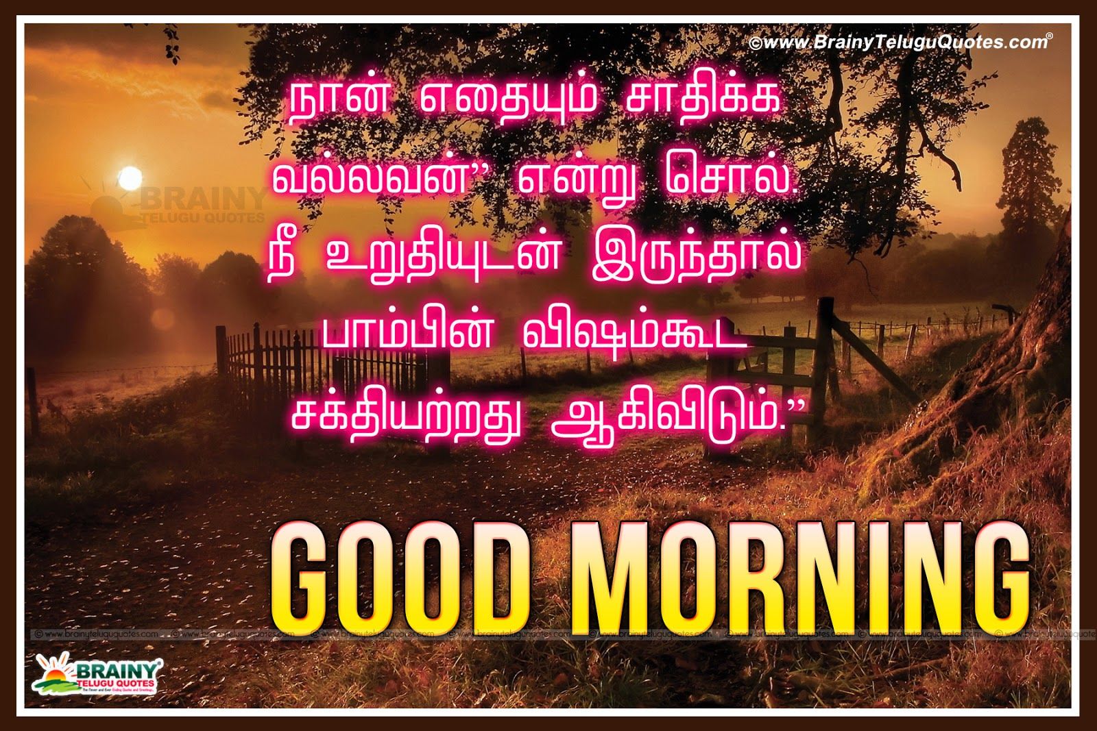 Tamil Good Morning Kavithaigal Greetings with inspirational quotes