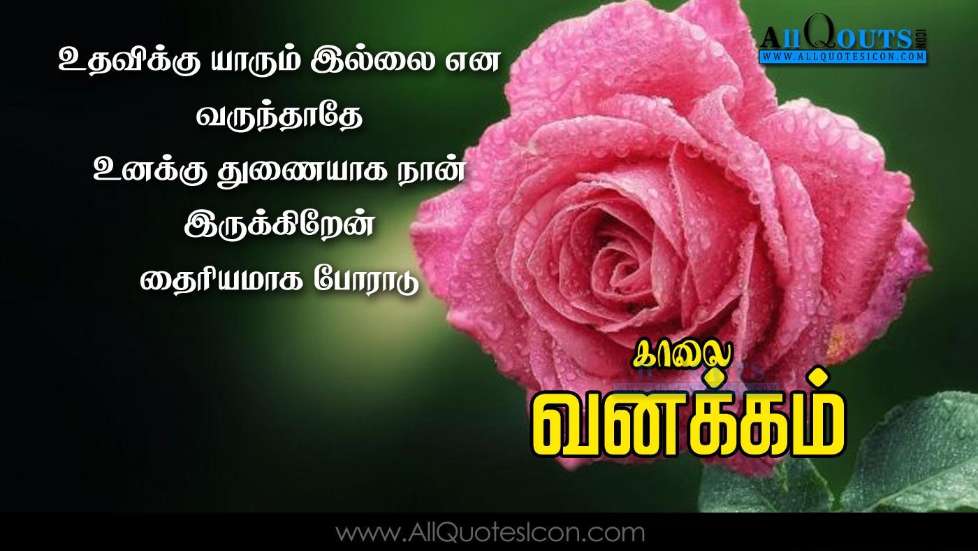 Happy Wednesday Image Best Tamil Good Morning Quotes Greetings