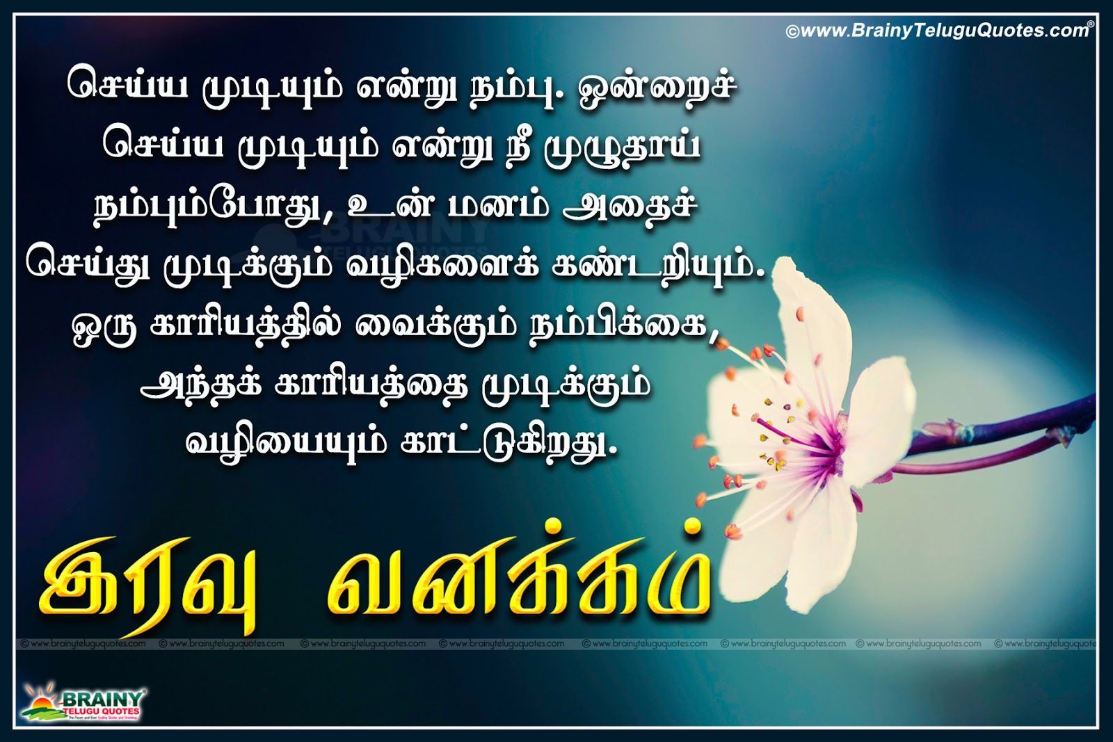 Tamil true Words about Life with Good Night quotes Image