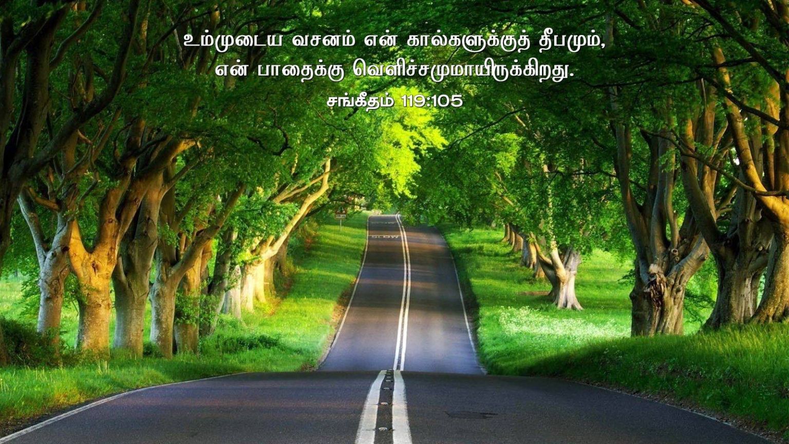 Free download Bible Quotes Tamil Bible Verse Wallpaper Tamil
