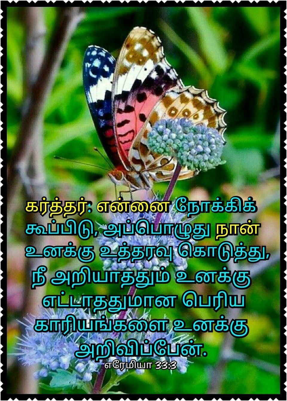 Bible Words Wallpaper Tamil HD Quote Tamil for Android