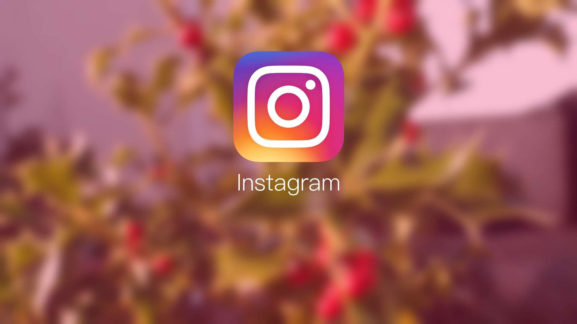 Instagram Wallpaper FREE Picture