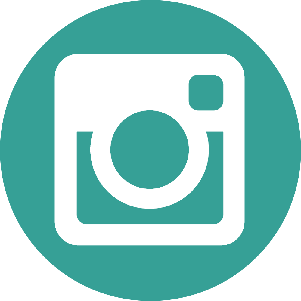 Instagram Logo Png Transparent PNG Logos