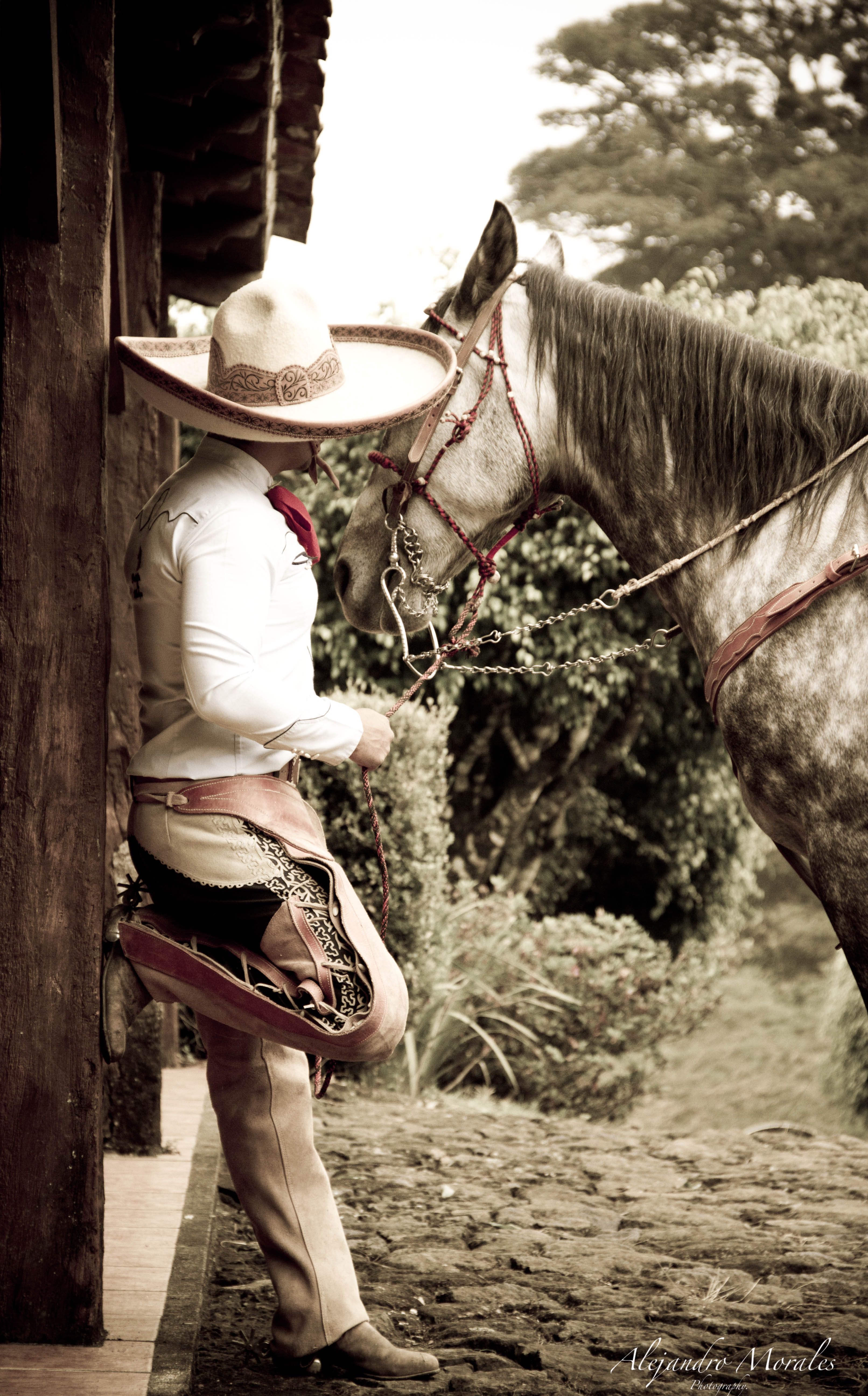 Coleaderos Wallpapers - Wallpaper Cave