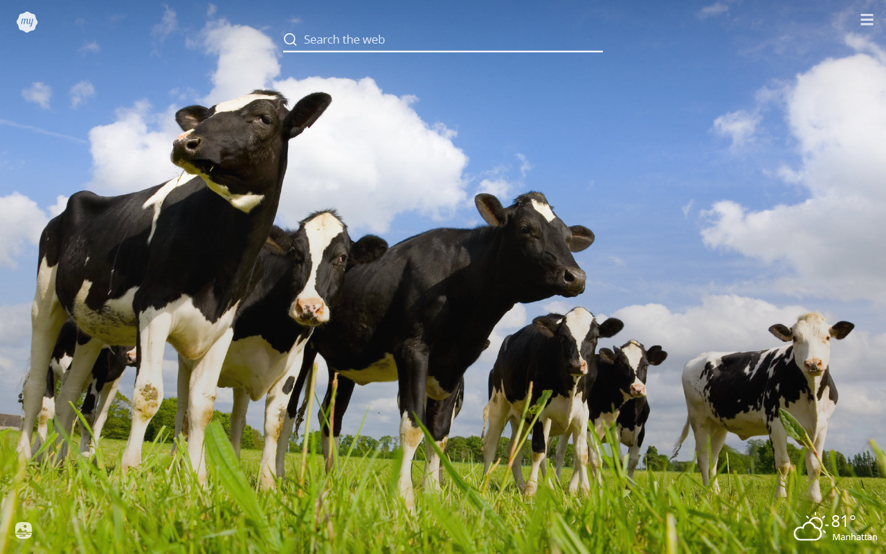 My Cows HD Wallpaper New Tab Theme