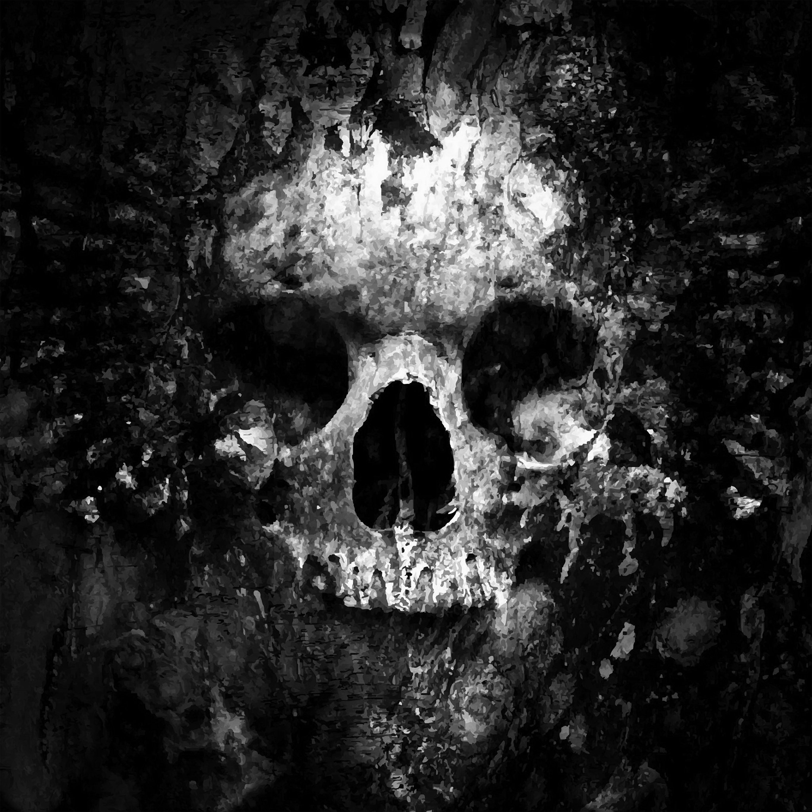 Skull Face Ark Paint Illustration Art Bw Dark Wallpaper