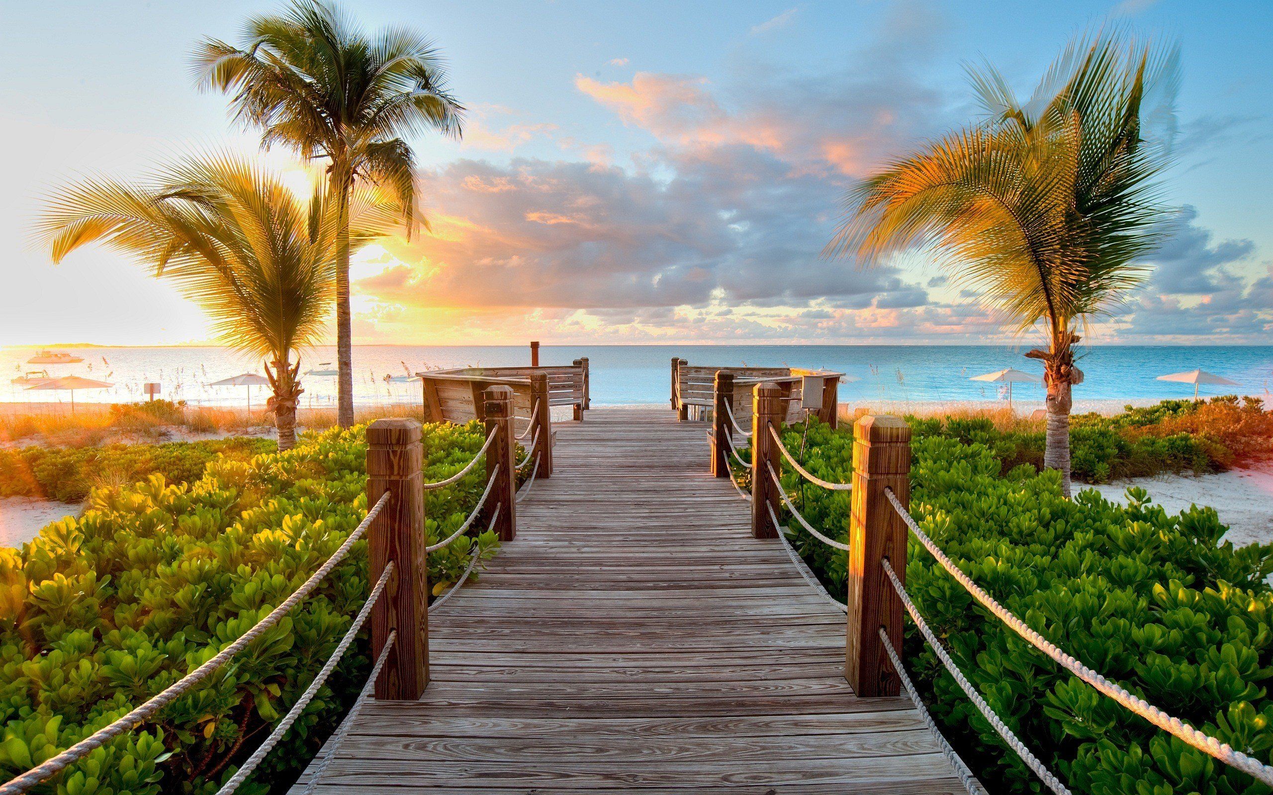 sunset, Path, Island, Beach, Palm trees HD Wallpaper / Desktop and Mobile Image & Photo