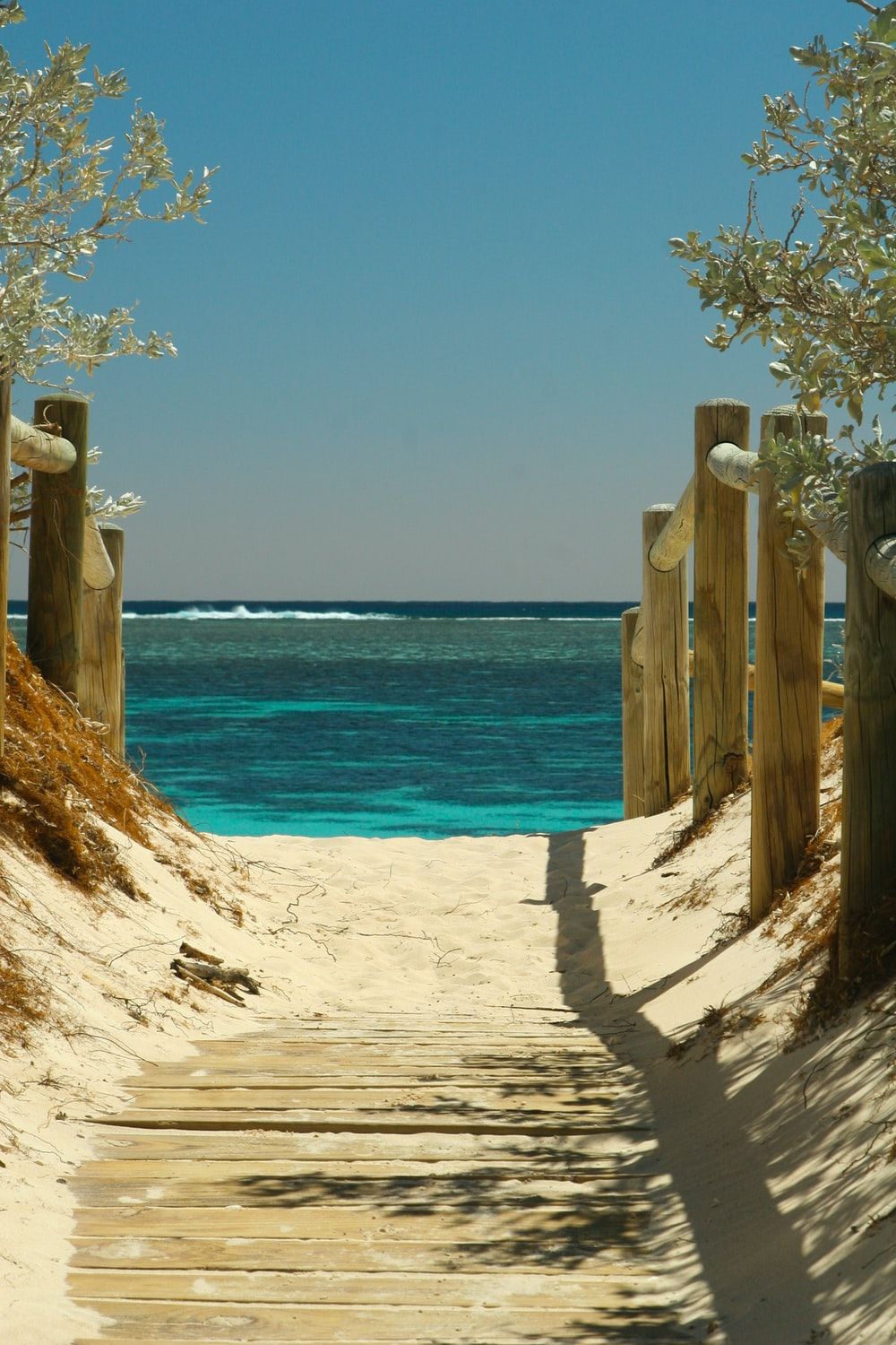 Beach Path Picture. Download Free Image
