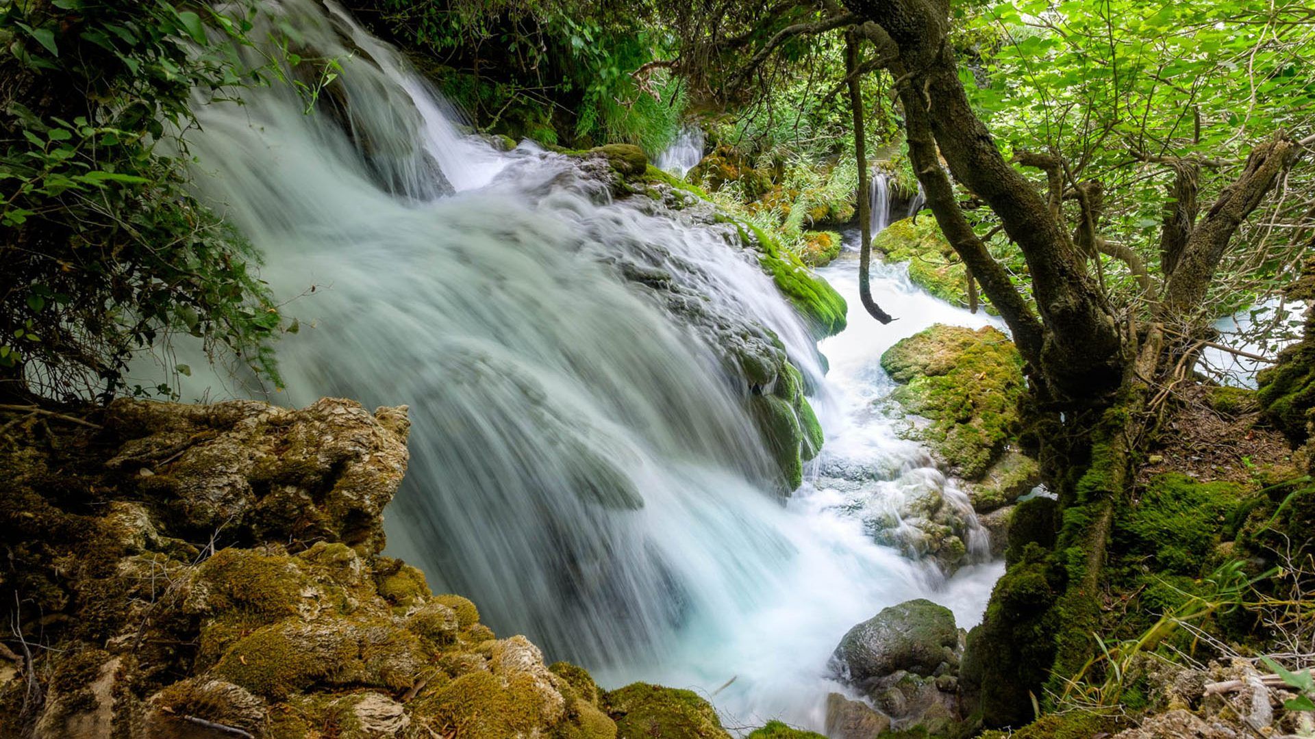 Plitvice Small Waterfall On The River Krka National Park Croatia