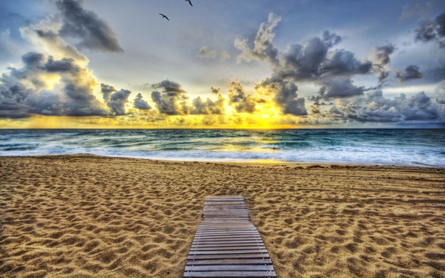 Download wallpaper 1440x900 sand, coast, beach, evening, birds, decline, path widescreen 16:10 HD background