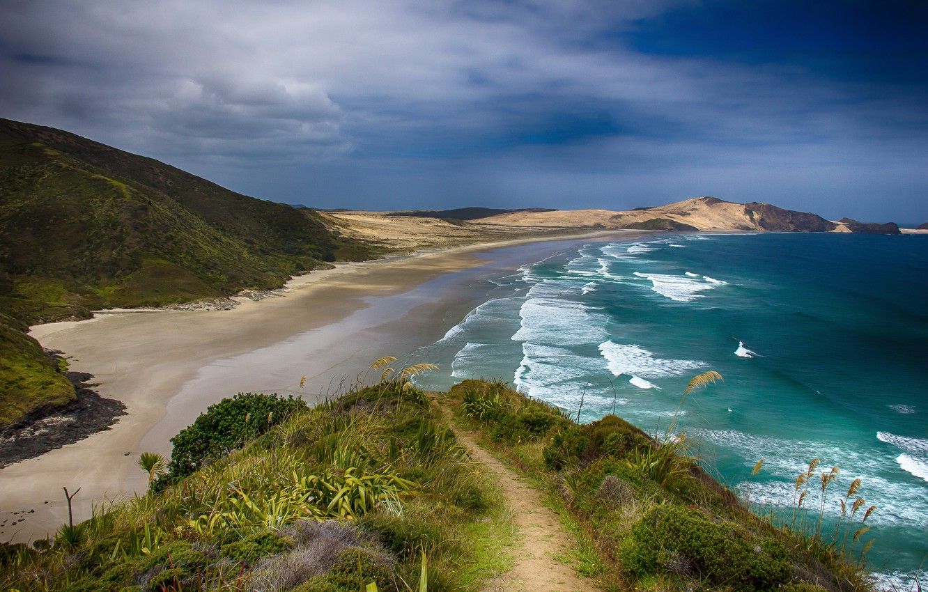 Wallpaper Sand, Nature, Sea, Beach, Path, New Zealand, Landscape image for desktop, section пейзажи